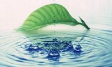  水質(zhì)檢測(cè)一次多少錢(qián)