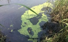  南通如皋市危險(xiǎn)廢物威脅長江水質(zhì)安全