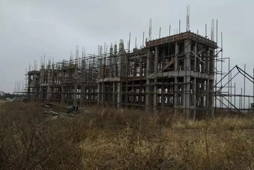 吉林省四平市二龍山水庫水源保護(hù)區(qū)3.7萬株生態(tài)涵養(yǎng)林被砍伐